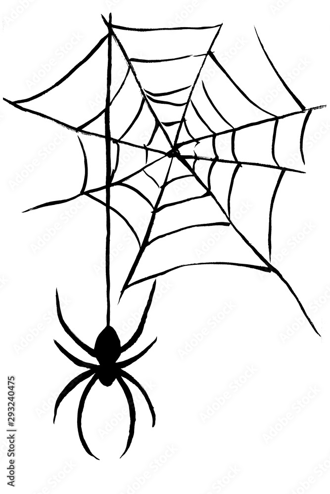 筆絵 蜘蛛 Stock Vector Adobe Stock