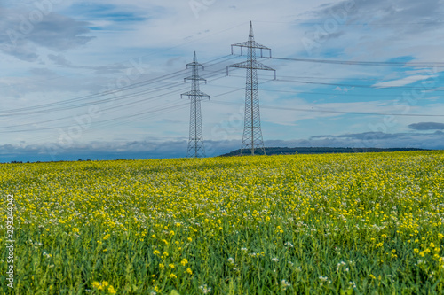 Hochspannungsmasten hinter Rapsfeld