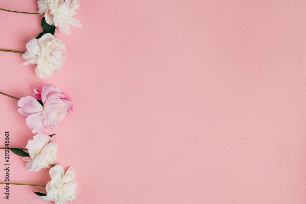 Summer subject photography. Peonies on a pink background