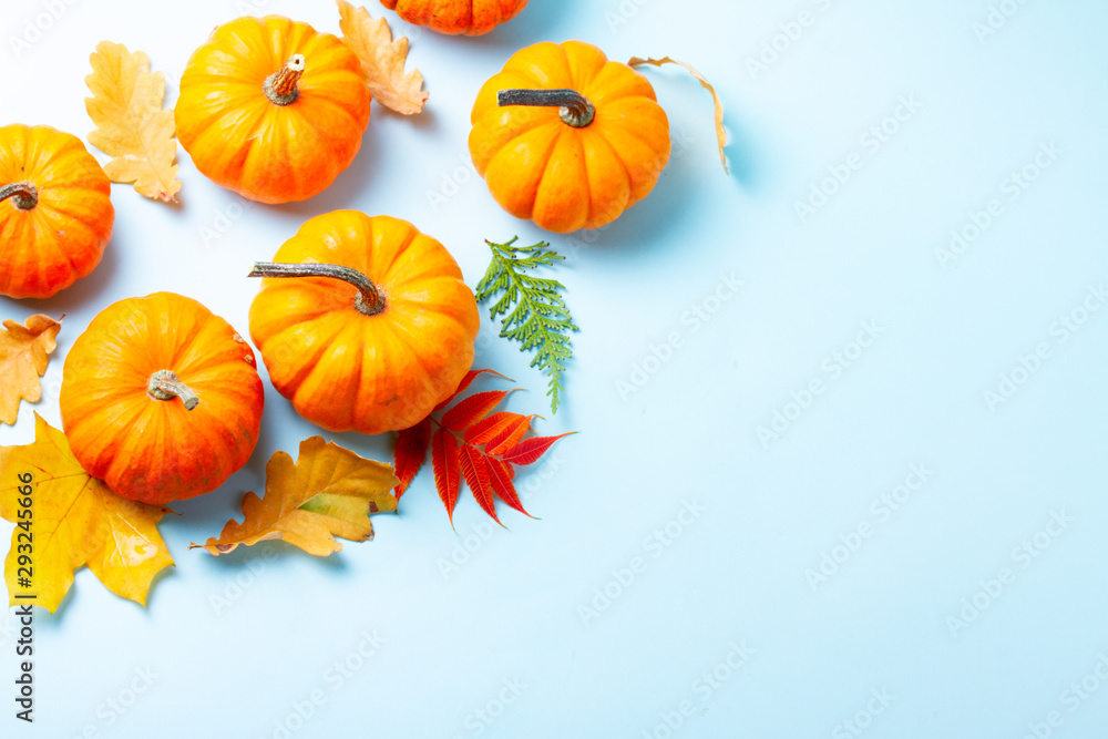 pumpkin on table pumpkin on table