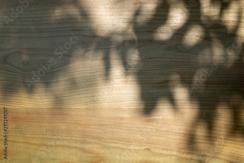 Wood panel tinted in blue. Natural wood texture. Bright shadow from a tree.
