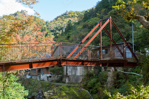 自然の中の鉄橋