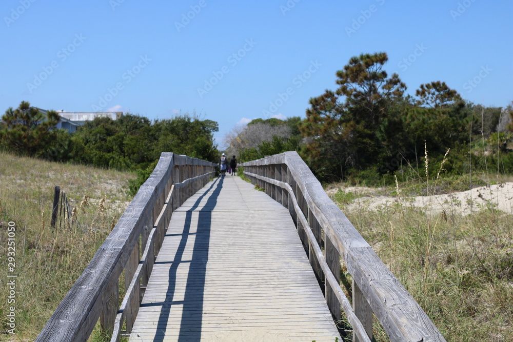 wooden bridge in the forest