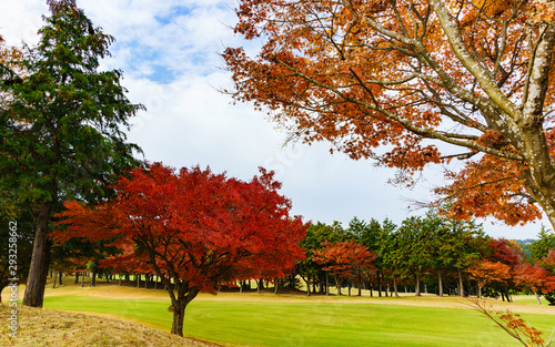 日本の秋のイメージ：スポーツの秋にゴルフ場で汗を流しつつ紅葉と秋空のコントラストを楽しむシーン