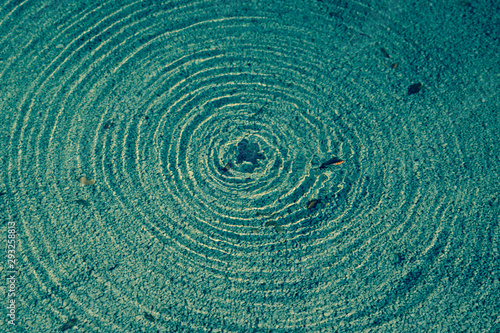 swirl spiral water and an insect abstract artistic pattern natural