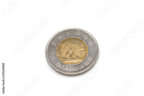 A close up image of a Canadian two dollar polar bear coin isolated on a white background, in macro