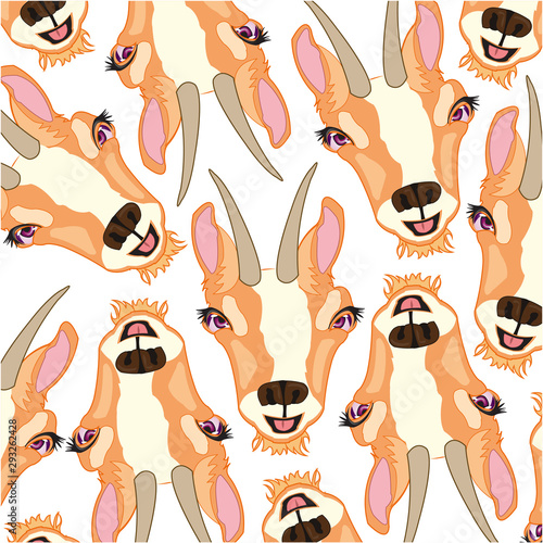 Vector illustration of the decorative pattern of the mug animal chamois