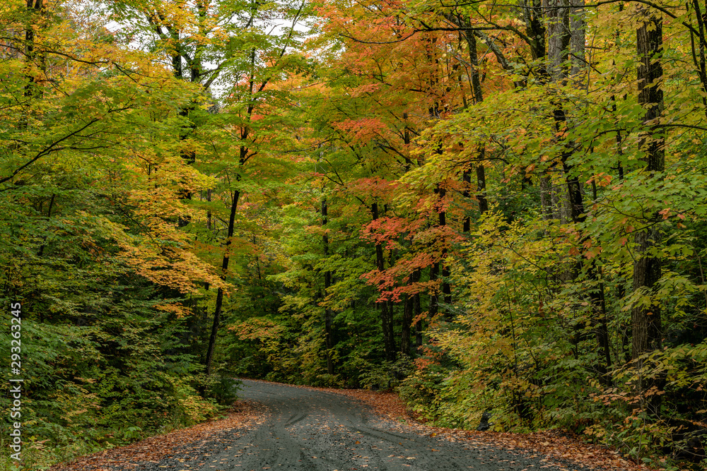 Naklejka premium Back Road tour fall colours (colors) landscape