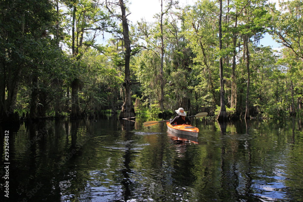 Female kayaker on Fisheating Creek, Florida on calm early summer afternoon amidst Cypress Trees reflected on creek.