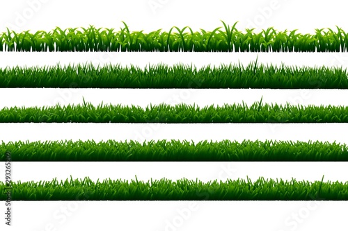 Set of grass isolated on white background.