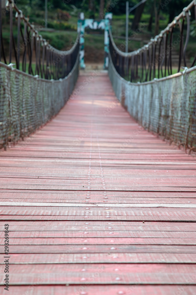 Fototapeta premium Suspension bridge