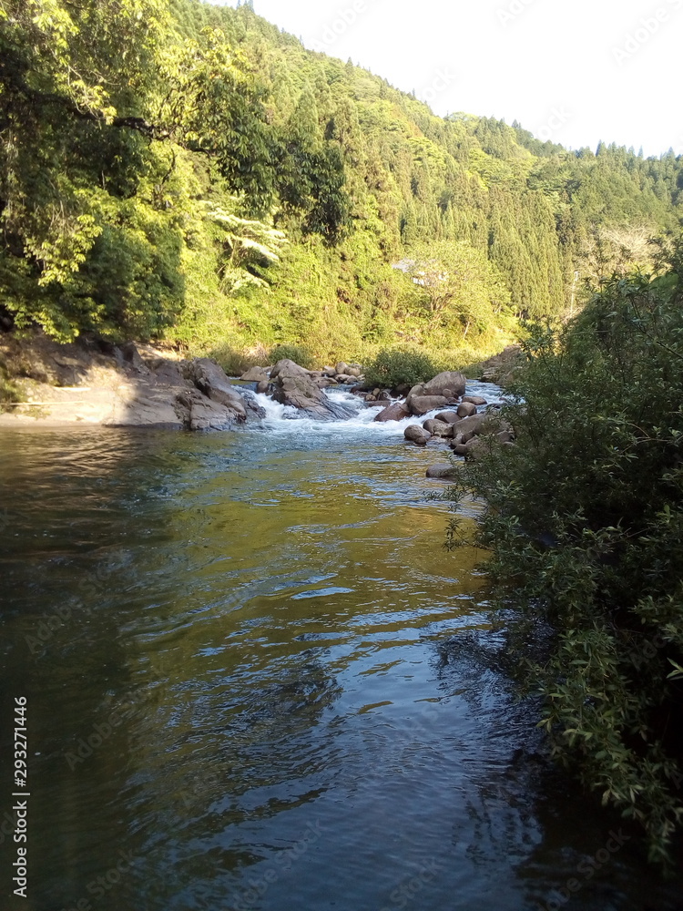 river in the forest river in the forest