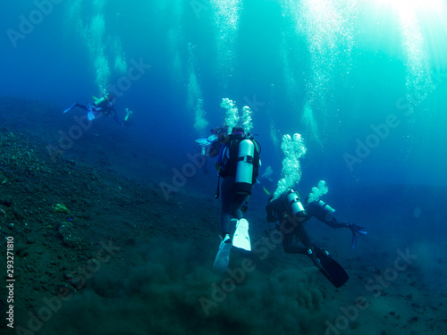 Scuba diver with coral © Metha