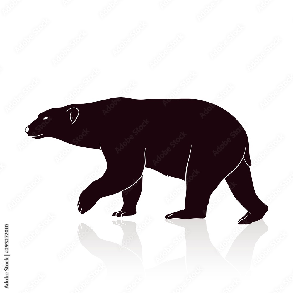 Obraz premium bear silhouette vector isolated on white backround