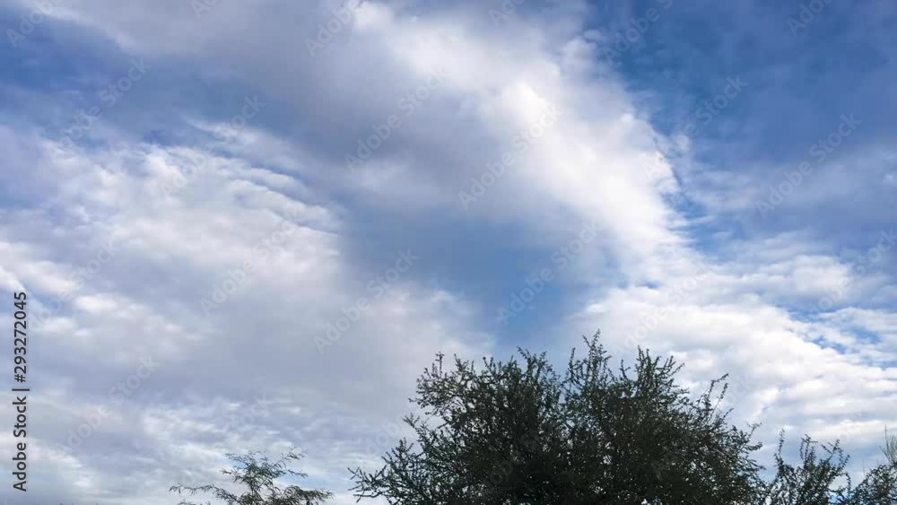 Clouds move away from the camera over the tops of trees. Clouds move away from the camera over the tops of trees.