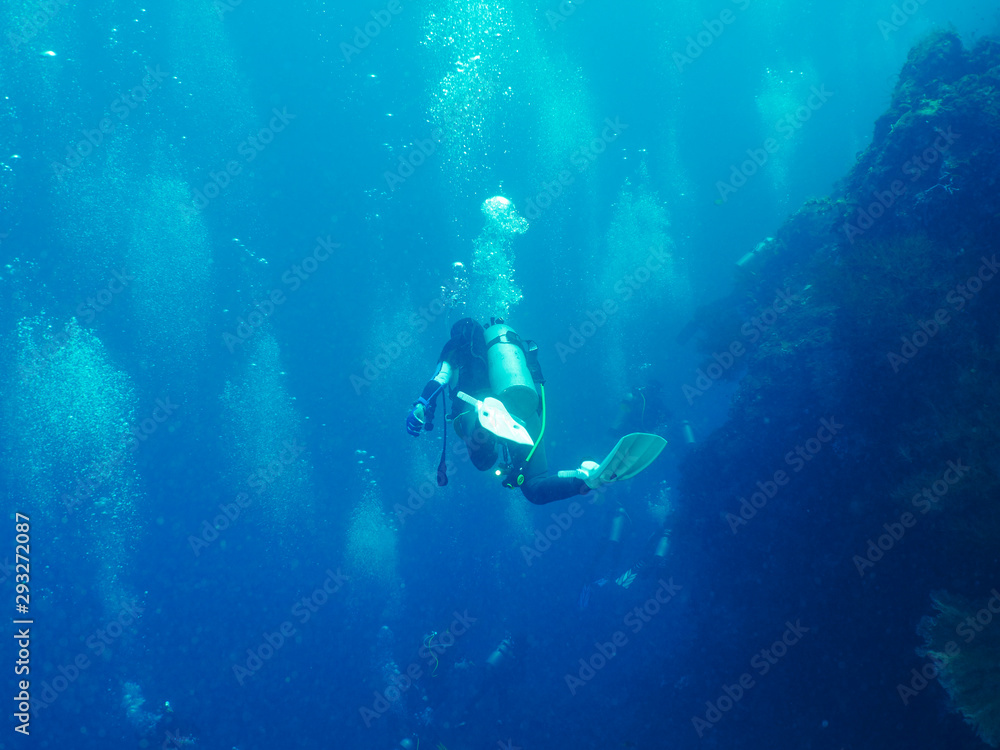 Scuba diver with coral Scuba diver with coral
