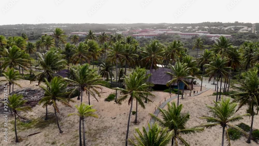 Drone bungalows, coconut trees and sand. Imbassaí Beach. Bahia, Brazil. Drone bungalows, coconut trees and sand. Imbassaí Beach. Bahia, Brazil.