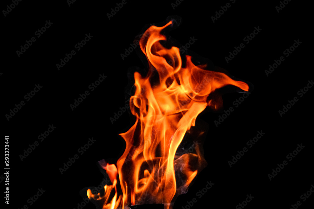 Fototapeta premium Fire, flames on a black background isolate. Concept fire grill heat weekend barbecue.