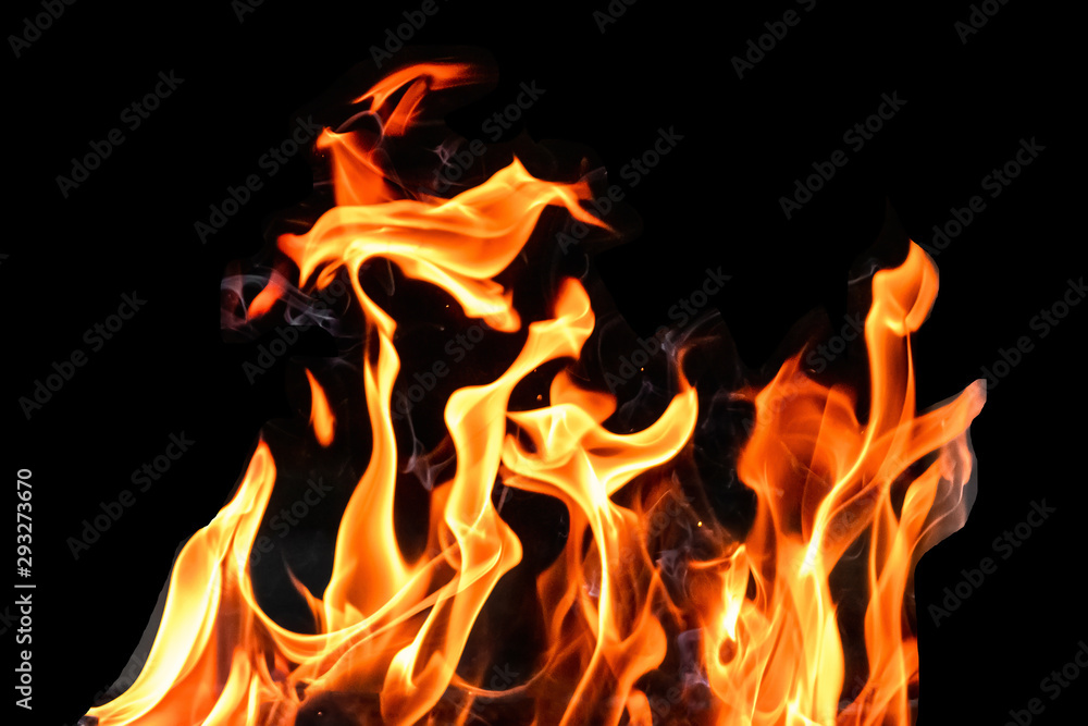 Fototapeta premium Fire, flames on a black background isolate. Concept fire grill heat weekend barbecue.