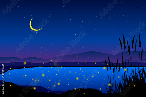 firefly at sea with starry night and colorful sky landscape	