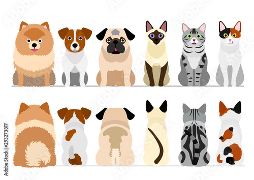 small dogs and cats border border set, full length, front and back © Studio Ayutaka