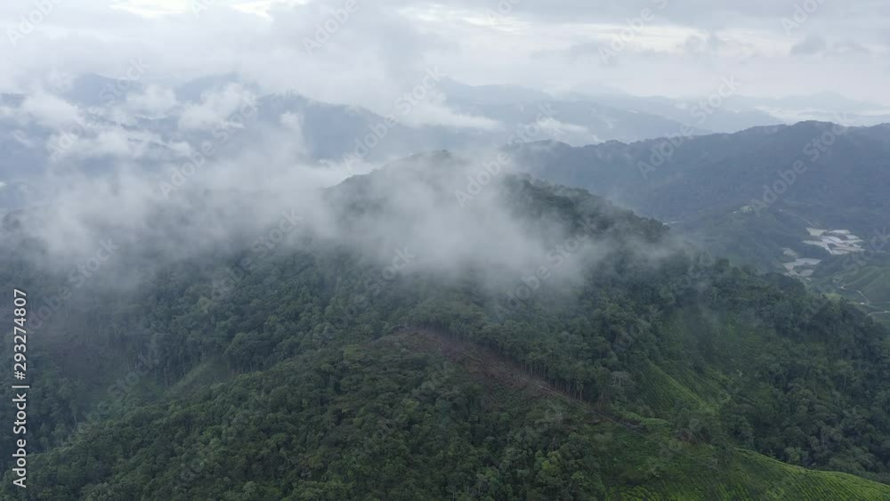 Aerial view of rainforest in high mountains covered with mist in slow motion, Malaysia Aerial view of rainforest in high mountains covered with mist in slow motion, Malaysia