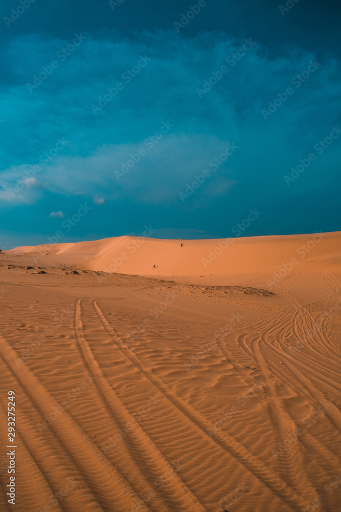 Naklejka premium Rolling Dunes 2