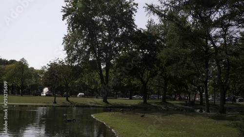 Wallpaper Mural Wideshot of ducks in a park Torontodigital.ca