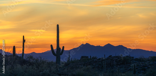 Colorful Desert Sunset & Cactus Silhouette - Arizona