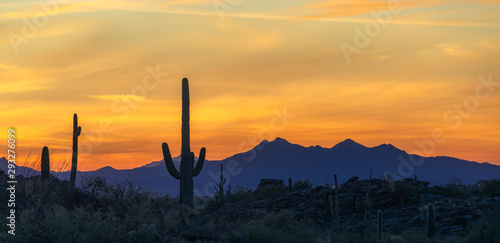 Tableau sur toile Colorful Desert Sunset & Cactus Silhouette - Arizona