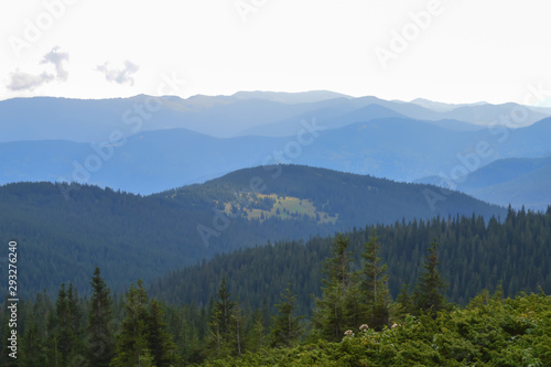 Panoramic view from Hoverla, Carpathian mountains, Ukraine. Horizontal outdoors shot © Vitali