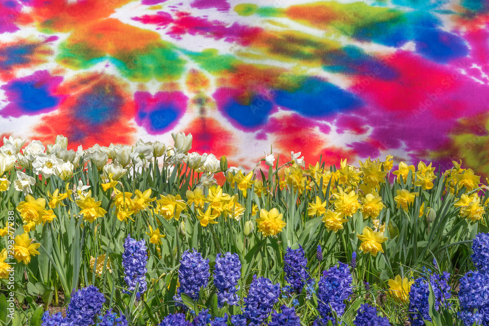 Blooming daffodils and hyacinths on a background of abstract painting. Blooming daffodils and hyacinths on a background of abstract painting.