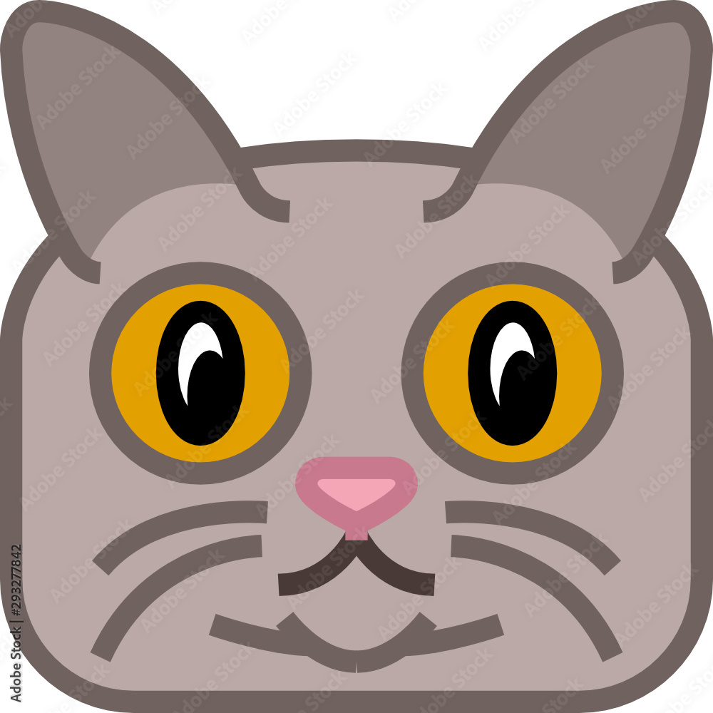 Fototapeta premium Cat