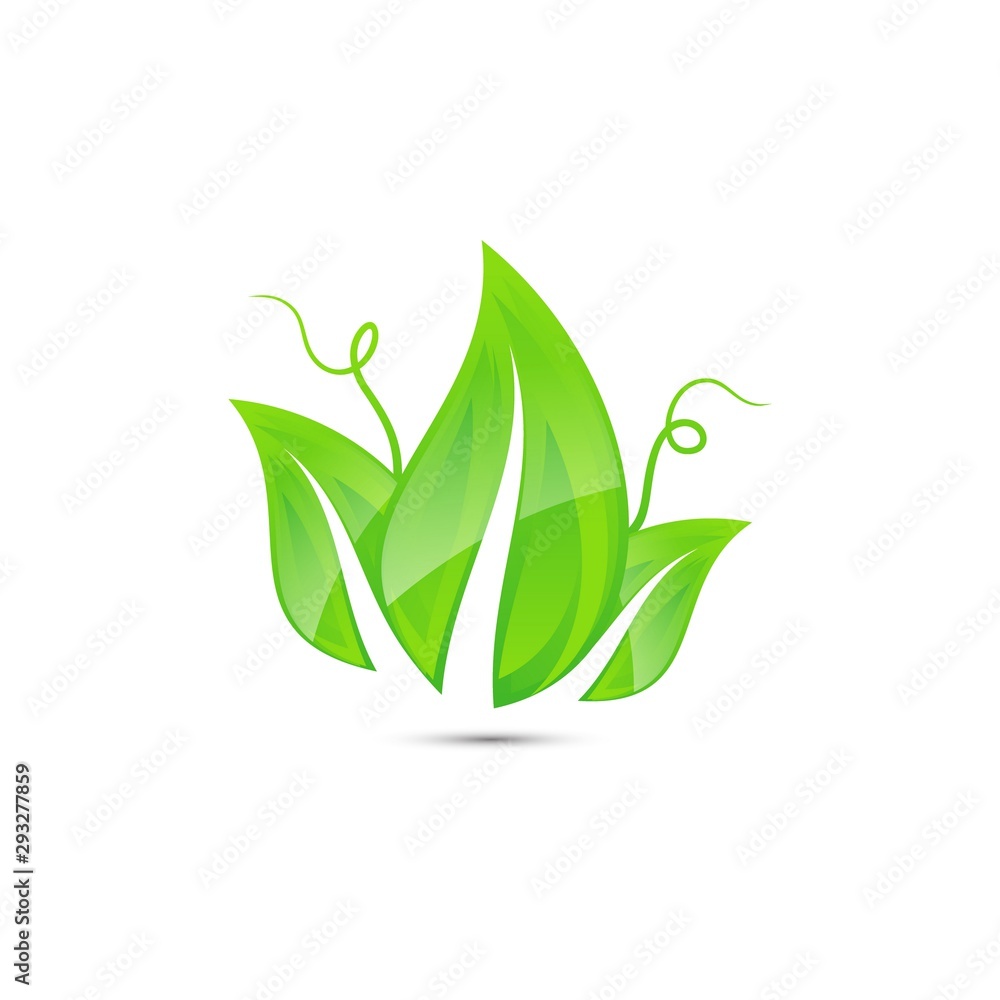 Fresh, green leaf nature vector icon that shiny Fresh, green leaf nature vector icon that shiny