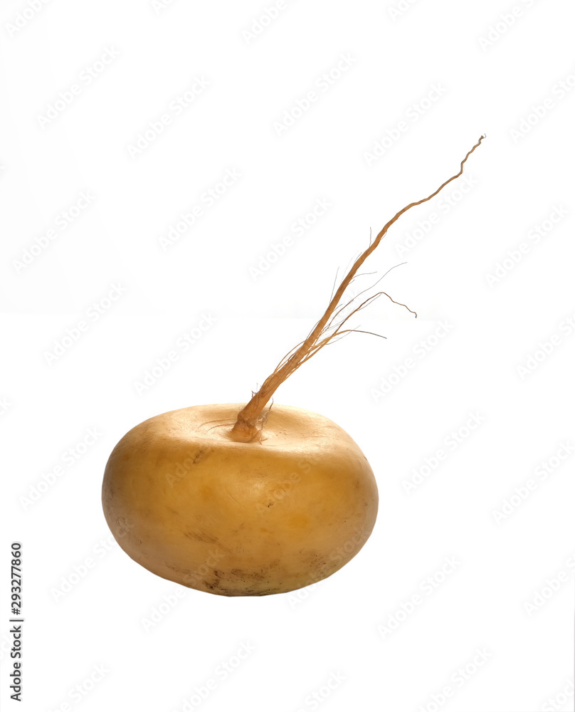 Turnip - vegetable and medicinal plant Turnip - vegetable and medicinal plant
