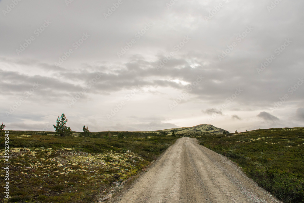 Fototapeta premium Wanderweg