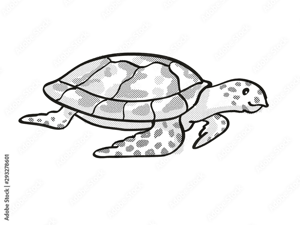 Hawksbill turtle Endangered Wildlife Cartoon Mono Line Drawing Stock  Illustration | Adobe Stock