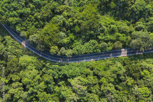 Aerial top view over mountain rural road in tropical rainforest with green tree, road going through forest from above by drone. © RoBird
