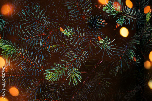 Creative layout made of Christmas tree branches with abstract  golden bokeh lights. Festive Xmas wide wallpaper