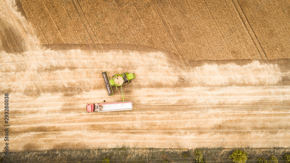 A beautiful new combine harvester dumps grain into a truck trailer on the field. Aerial view
