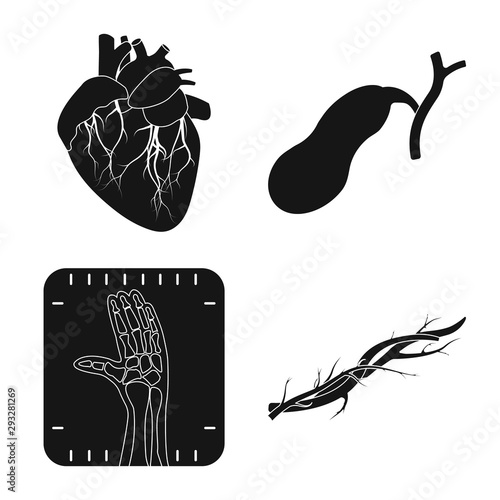Isolated object of body and human sign. Collection of body and medical vector icon for stock.