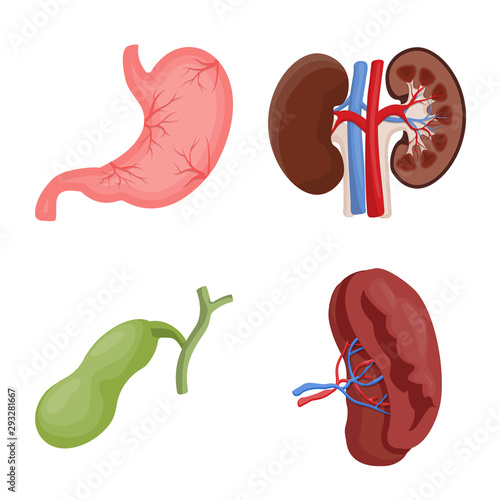 Vector design of body and human symbol. Collection of body and medical stock symbol for web.
