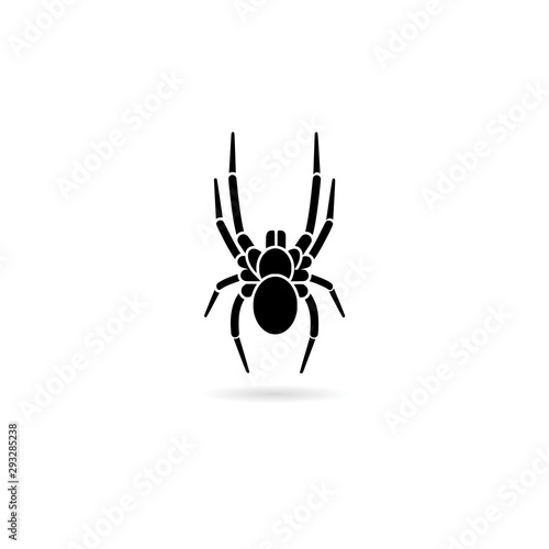 Spider simple icon on white background