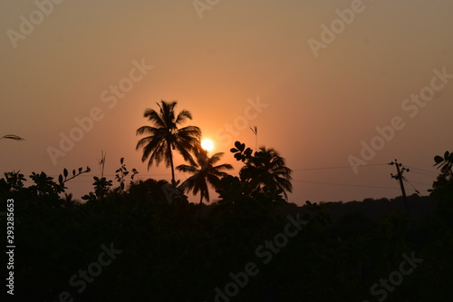 sunset over palm trees