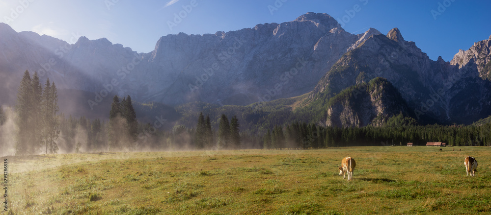 meadow under the Alpine peaks during a sunny, foggy morning