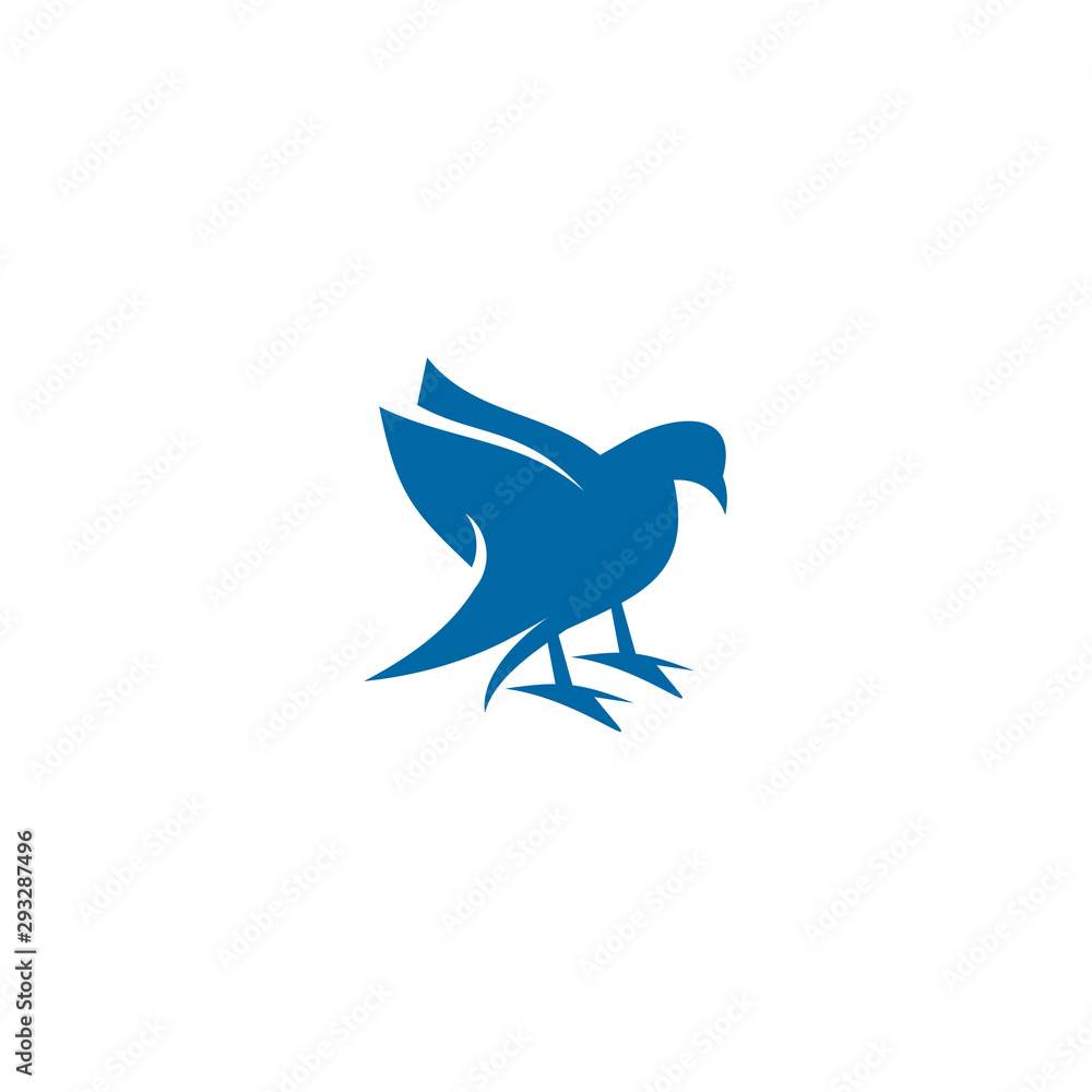 Fototapeta premium Bird logo design vector template