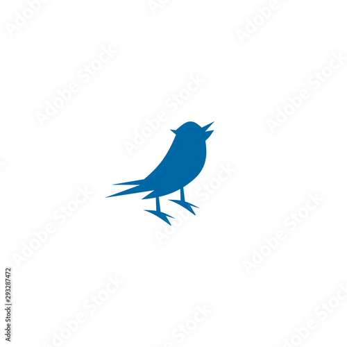 Bird logo design vector template