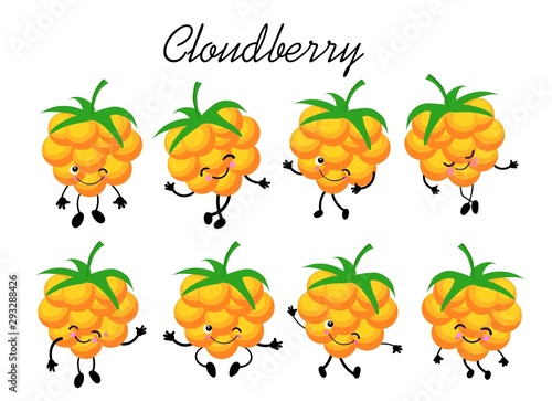 cloudberry berry collection on a white background. Logo for berry production company.