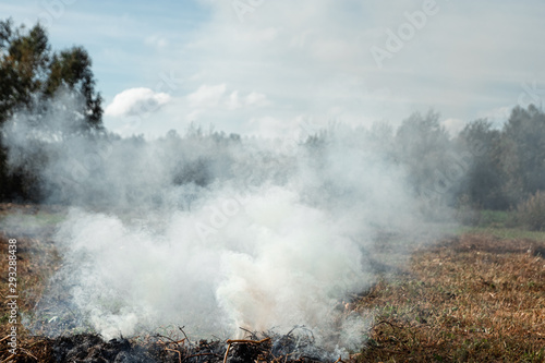 a column of smoke in the field, fires, fire in nature, the destruction of tree plants.