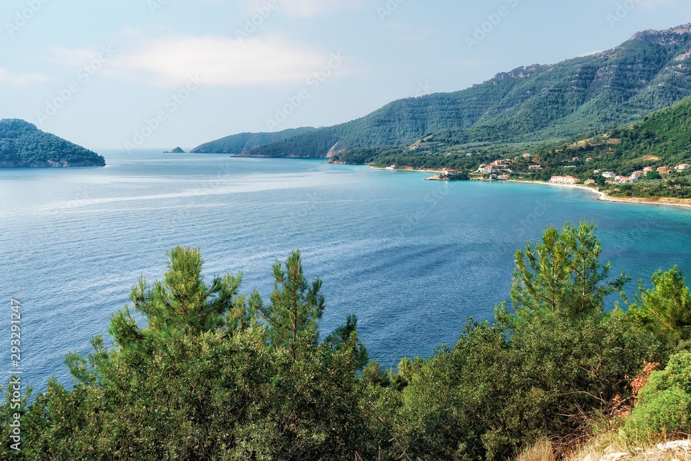 Amazing day view to the North Aegean sea above the pine branches in Tassos island, Greece